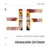 Orhan Aydin - Dikenlerin Üstünde (feat. Faruk Ömer) - Single